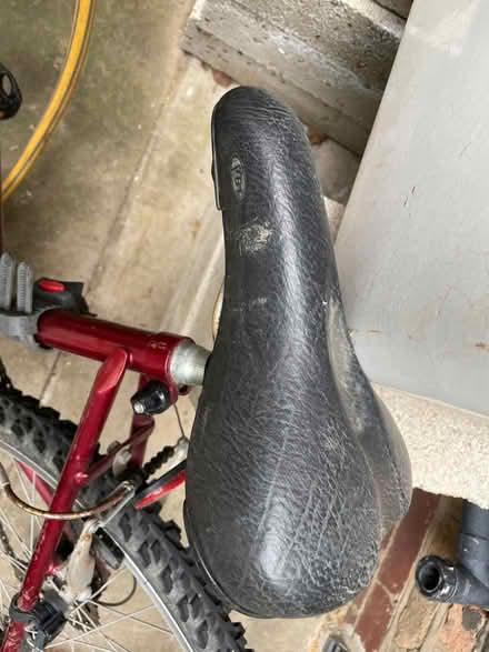 Photo of free Bike needs TLC (Stoke Newington N16) #3