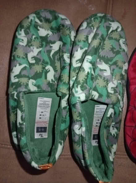 Photo of free Green Dinosaur slippers (Odd Down) #1