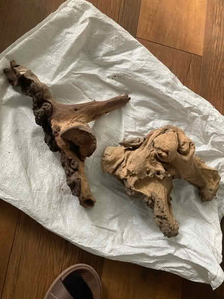 Photo of free Dry wood for vivarium (Allerton L18) #1