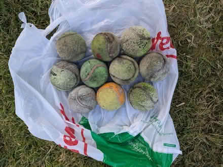 Photo of free Tennis Balls (Chesham HP5) #1
