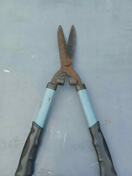 Photo of free Garden hedge shears (St George BS5) #2