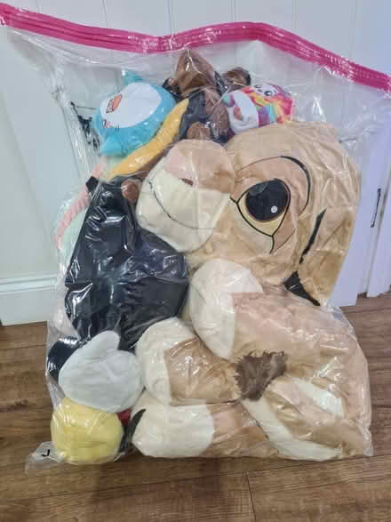 Photo of free bag of plush toys (Harlow. CM18 .) #1