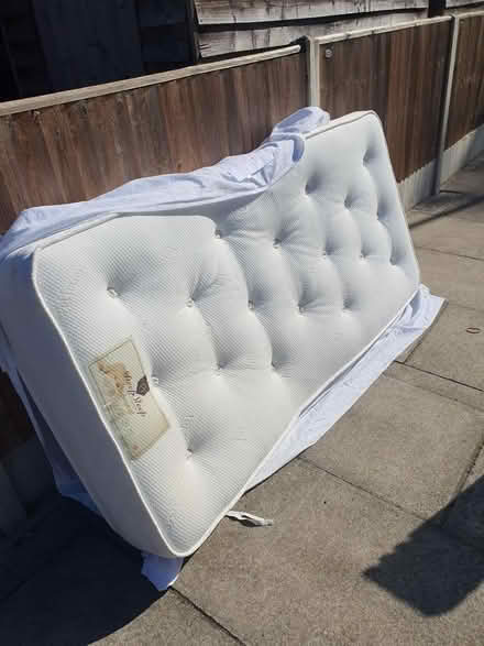 Photo of free Quality single mattress (N8 North London) #1