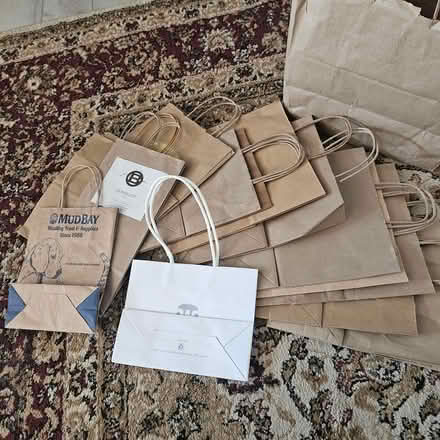 Photo of free Small Paper bags with Handles (Redmond Rosehill Kirkland) #2