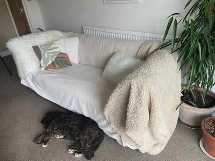 Photo of free Sofa Vintage (Ex-habitat) (Padfield SK13) #3