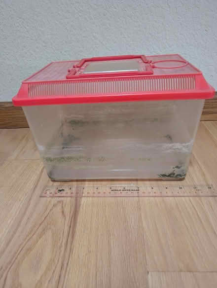 Photo of free Small tank for reptiles (Cupertino/Saratoga border) #1