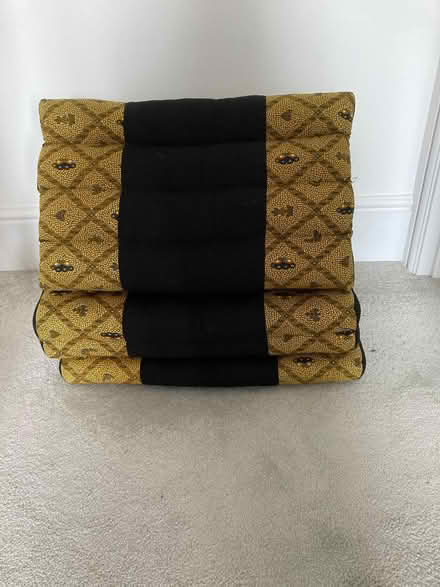 Photo of free Floor bolster (West Leigh PO9) #2