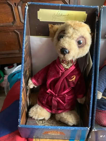 Photo of free Meerkat (HP2) #3