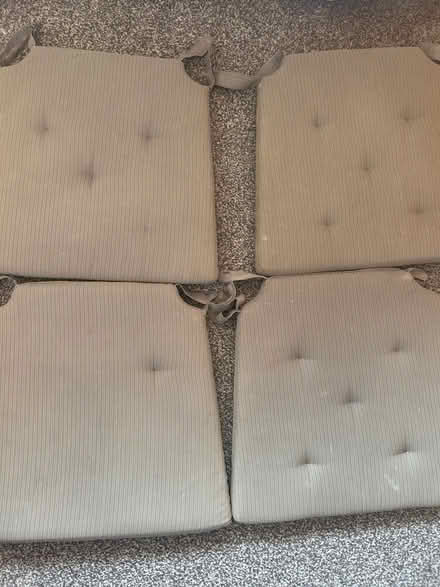 Photo of free 4 x Chair cushions (Hampton Hill TW11) #2