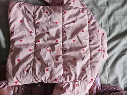 Photo of free Girls clothes 4-5 years (CR0) #3