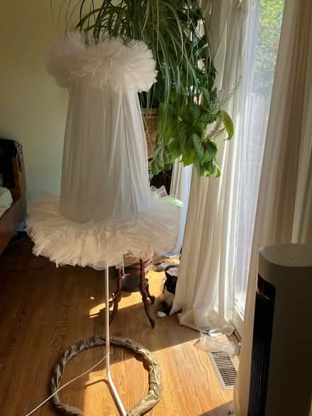 Photo of free Frilly lamp (Oak Brook) #1