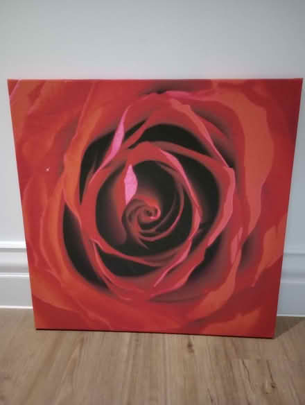Photo of free Rose canvas (Branksome Chine BH13) #1