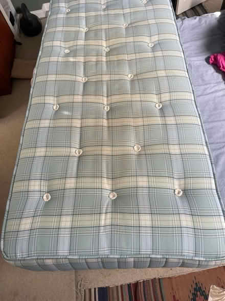 Photo of free Single mattress (East Sheen SW14) #3