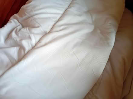 Photo of free Duvet 9.5 Tog M &S (Callow Hereford HR2) #1
