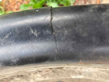 Photo of free Medium pond (Colchester CO28TQ) #3