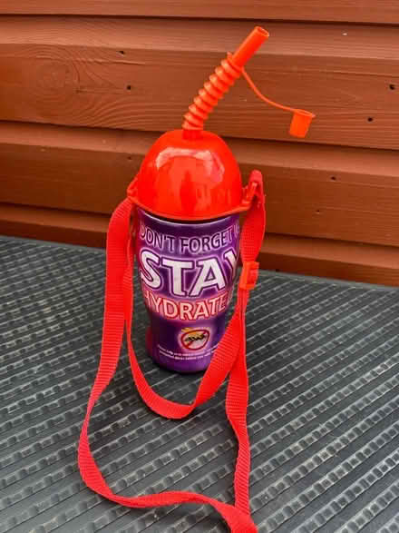 Photo of free Drinks bottle with carrying strap (Elmdon Heath B91) #1