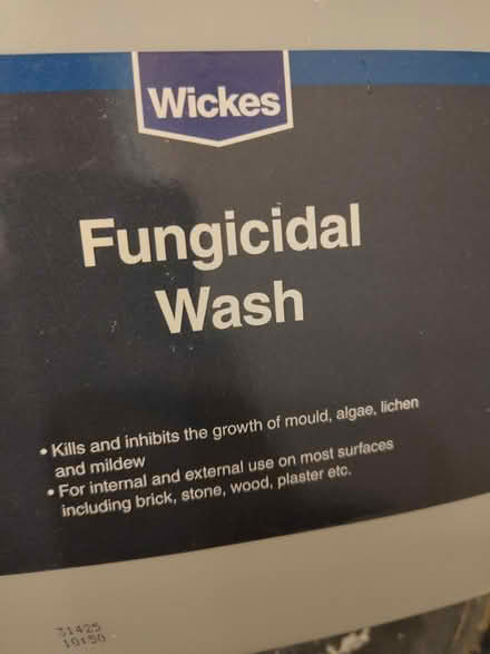 Photo of free Builders fungicidal wash (IG11 Barking) #2