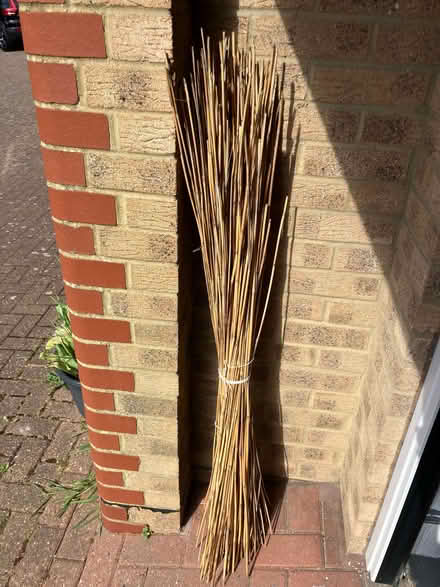 Photo of free Peeled reeds (West Marina TN38) #1