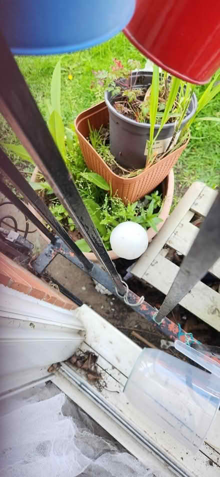 Photo of free Lots of pots (Derby uttoxeter old road DE1) #1