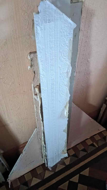 Photo of free Plasterboard (Carmarthen SA31) #1