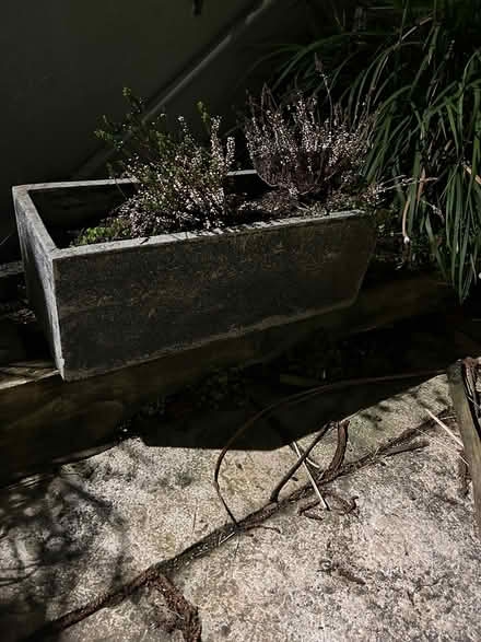 Photo of free Garden planter (Rathmines) #1
