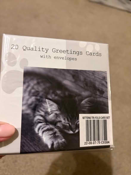 Photo of free 20 kitten theme greeting cards (Longbarn WA2) #1