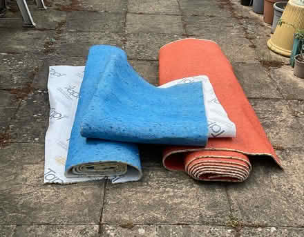 Photo of free Carpet underlay (Northcourt OX14) #1