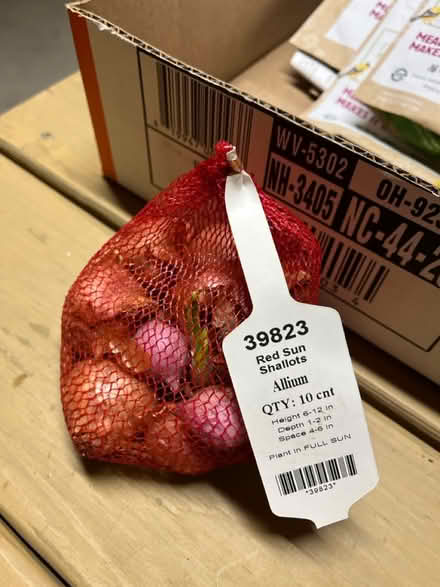 Photo of free Onion, Leeks and Shallot Sets (Little Falls Area) #2