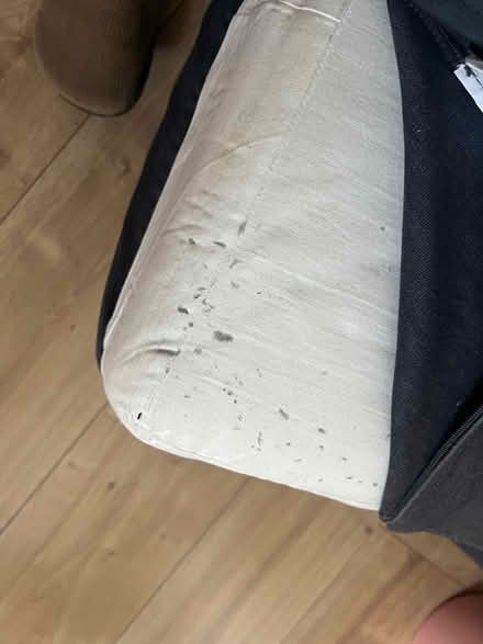 Photo of free 2 sofa cushions / big foam (Bromsgrove B61) #2