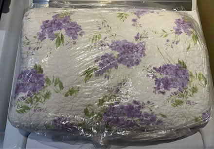 Photo of free Laura Ashley full size quilt (Erin Mills&QEW) #2