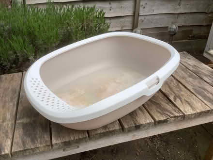 Photo of free Litter box - low (Widmore BR2) #1