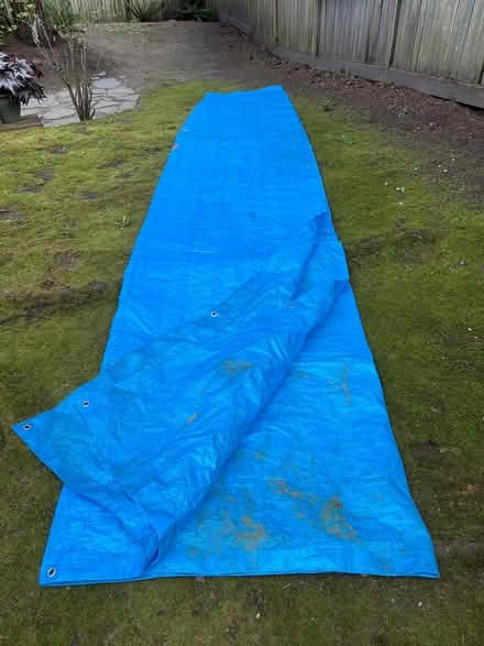 Photo of free Blue Plastic Tarp (Federal Way) #1