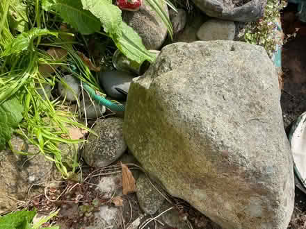 Photo of free Large stone for pond water feature (Liverpool 13 /Stoneycroft) #1