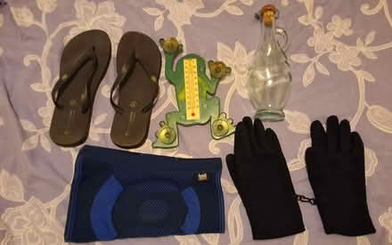 Photo of free Flipflops, gloves, bottle, etc (South Acton) #1