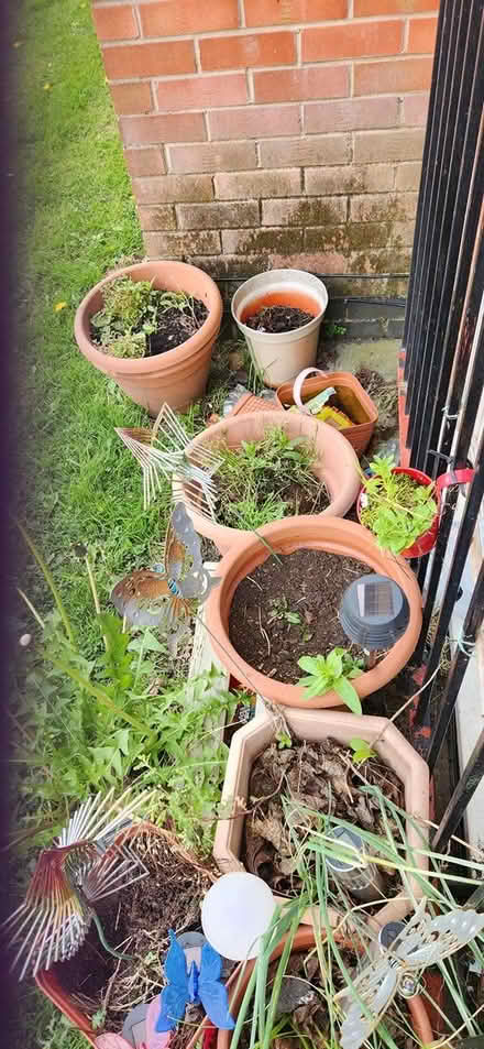 Photo of free Lots of pots (Derby uttoxeter old road DE1) #2
