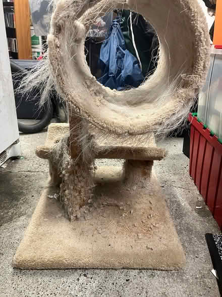 Photo of free Used cat tree (East Wallingford) #1