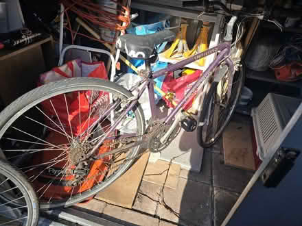 Photo of free Bicycle (Ellacombe TQ1) #1