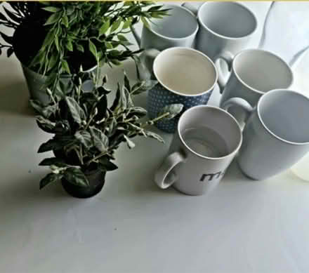 Photo of free Mugs, food containers, bottle (IG6) #1