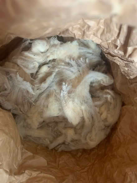 Photo of free Raw fleece (Wrington BS40) #1