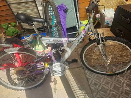 Photo of free 2 Adult Cycles, perhaps for repair or spairs (Caversham RG4) #1