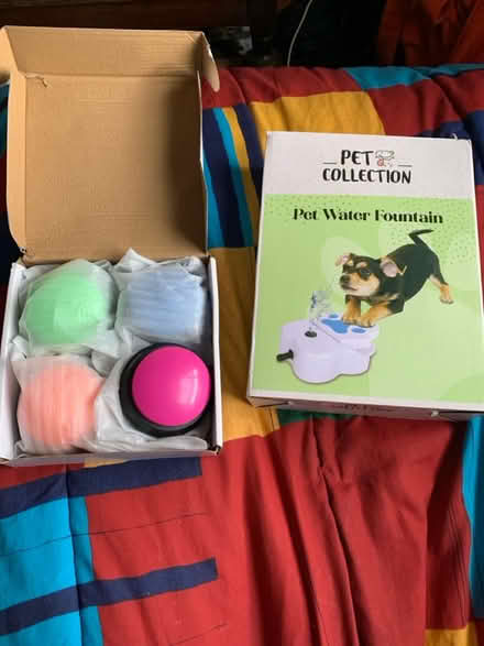 Photo of free Dog stuff (HP2) #4