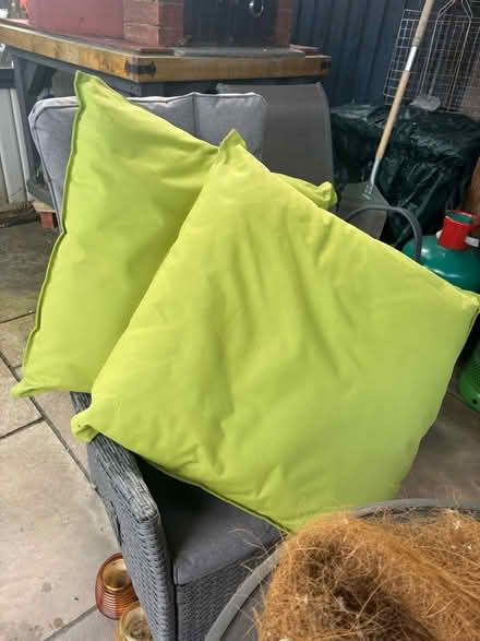 Photo of free Two x 23 inch x 23 inch green cushions. (Comberton DY10) #1