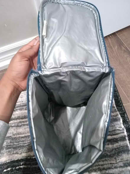 Photo of free Striped lunchbag (Northwest Brampton) #2
