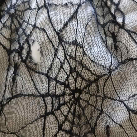 Photo of free Halloween Spider Web Dress 3-4 Fair (HA5 Eastcote Pinner) #4