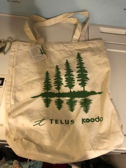 Photo of free Reusable Cloth shopping bag (Midtown Toronto) #1