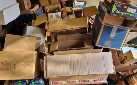 Photo of free Cardboard boxes (Clayhill TN31) #1