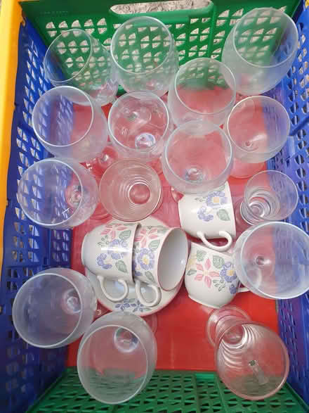 Photo of free Glasses (Mountain Ash CF45) #1