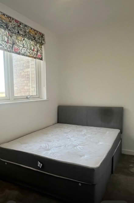 Photo of free 2x double beds (Acton W3) #2