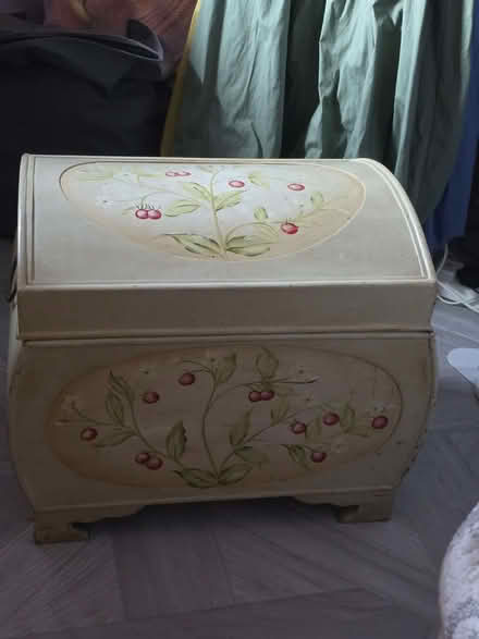 Photo of free storage trunk (Canley Gardens CV5) #1