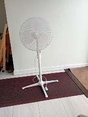 Photo of free Electric fan (Bedwell SG1) #1